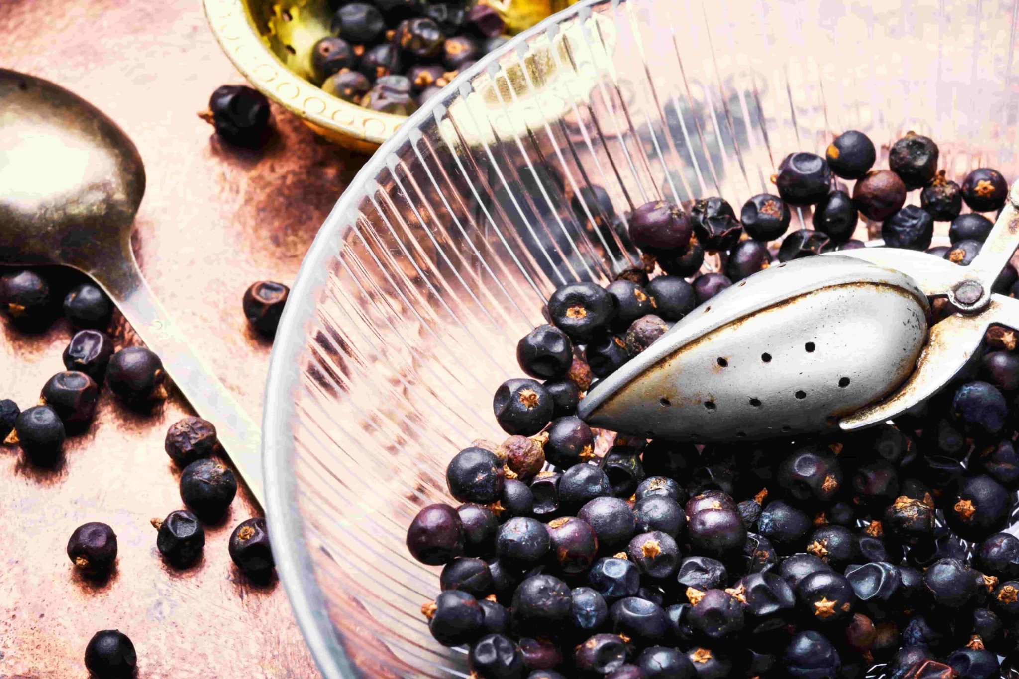 Juniper Properties and uses in gin Bruni Collin´s