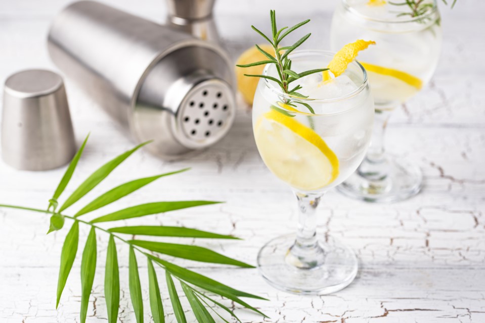 Gin Tonic ¿Mejor con lima o con limón?