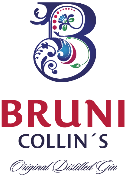 logo-gin-bruni-footer