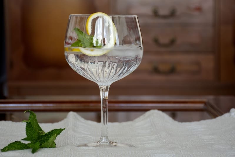 hacer gin tonic perfecto